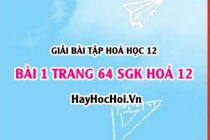 Giải bài 1 trang 64 SGK Hoá 12: Tính chất hoá học của Polime